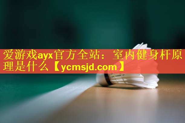 爱游戏ayx官方全站：室内健身杆原理是什么