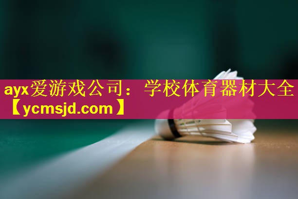 ayx爱游戏公司：学校体育器材大全