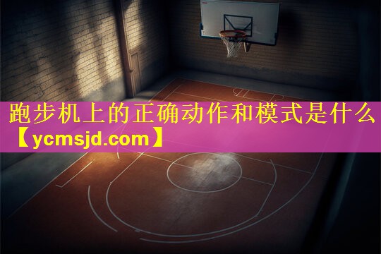 跑步机上的正确动作和模式是什么